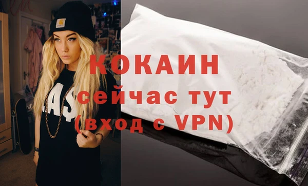 стаф Аркадак