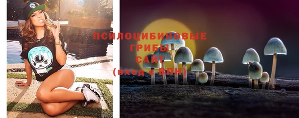 прущие грибы Арсеньев