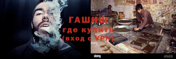стаф Аркадак