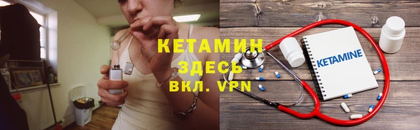 стаф Аркадак