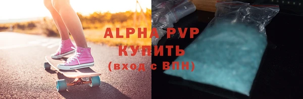 стаф Аркадак