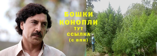 стаф Аркадак