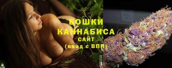 прущие грибы Арсеньев